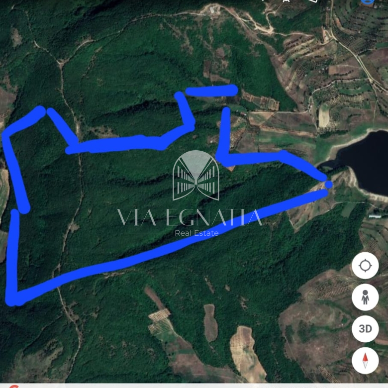 Shitet toke 300.000 m² (30 hektare)