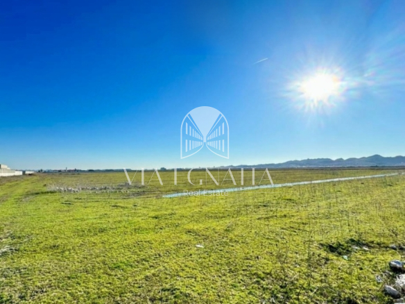 Shitet 61.750m² toke zona INDUSTRIALE Sektor Rinia