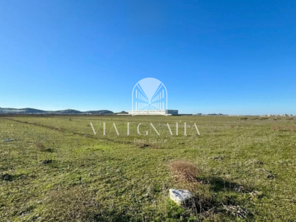 Shitet 61.750m² toke zona INDUSTRIALE Sektor Rinia