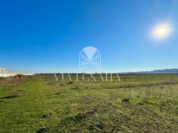 Shitet 61.750m² toke zona INDUSTRIALE Sektor Rinia