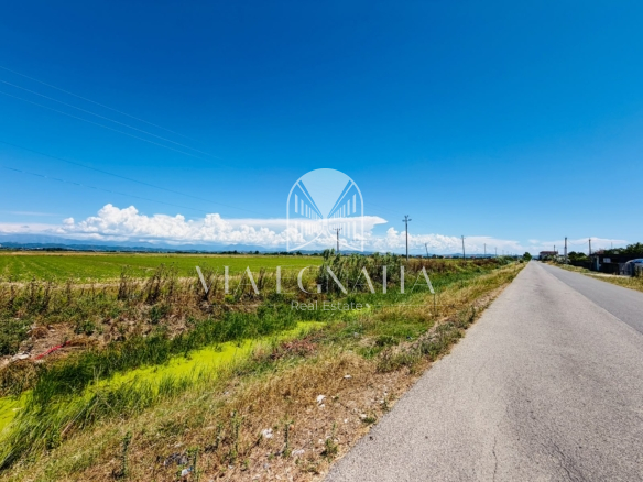 SHITET TOKË NË ZONËN INDUSTRIALE, FLLAKË – DURRËS