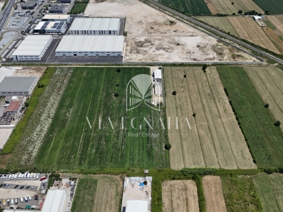 SHITET TRUALL 9,000 m² | AUTOSTRADA DURRËS–TIRANË, KM 6 – XHAFZOTAJ