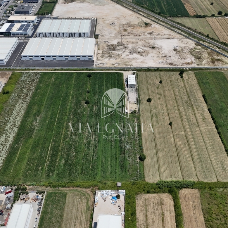 SHITET TRUALL 9,000 m² | AUTOSTRADA DURRËS–TIRANË, KM 6 – XHAFZOTAJ