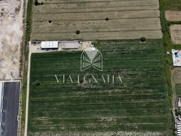 SHITET TRUALL 9,000 m² | AUTOSTRADA DURRËS–TIRANË, KM 6 – XHAFZOTAJ